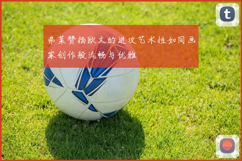 弗莱赞扬欧文的进攻艺术性如同画家创作般流畅与优雅