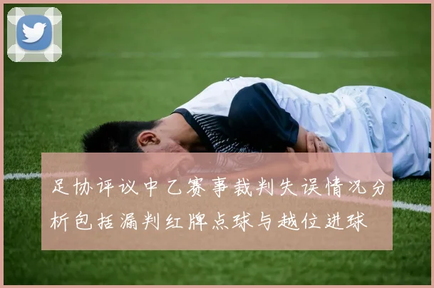 足协评议中乙赛事裁判失误情况分析包括漏判红牌点球与越位进球